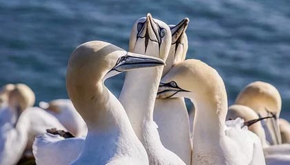 陈戌源是谁点将去足协，陈戌源专访