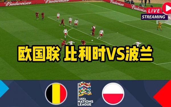 比利时vs波兰_比利时vs波兰直播_比利时vs波兰录像回放