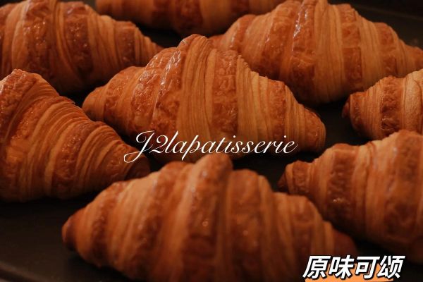 j2_j2直播_j2录像回放