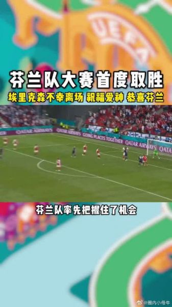 丹麦0-1芬兰_丹麦0-1芬兰直播_丹麦0-1芬兰录像回放