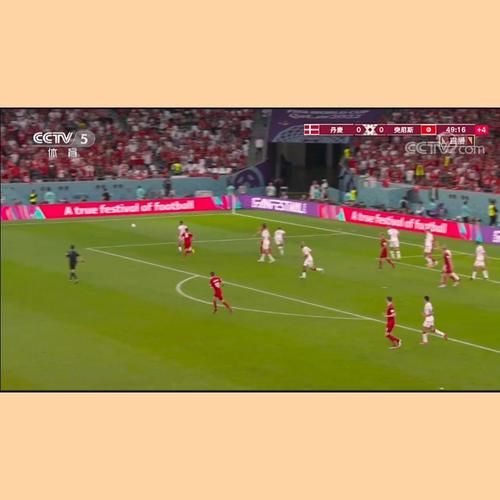 丹麦vs突尼斯_丹麦vs突尼斯直播_丹麦vs突尼斯录像回放
