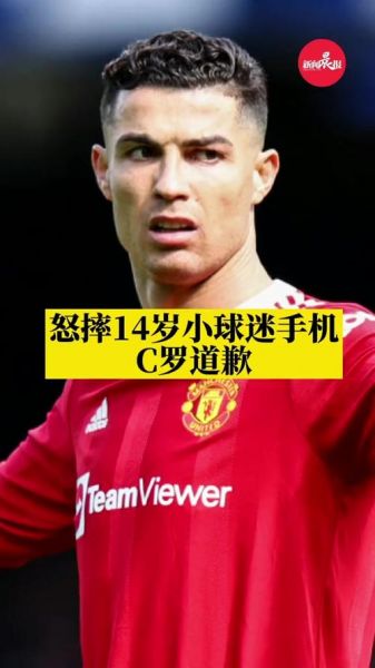 为什么C罗摔球迷手机_为什么C罗摔球迷手机直播_为什么C罗摔球迷手机录像回放