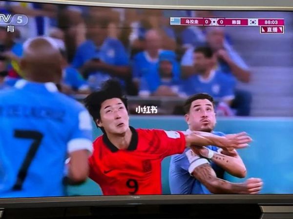 乌拉圭韩国_乌拉圭韩国直播_乌拉圭韩国录像回放
