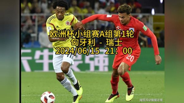 匈牙利vs瑞士_匈牙利vs瑞士直播_匈牙利vs瑞士录像回放