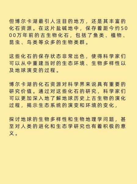 博尔卡_博尔卡直播_博尔卡录像回放