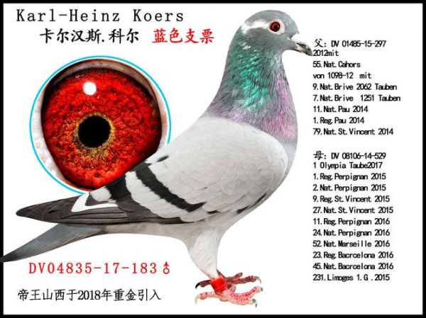 卡尔汉_卡尔汉直播_卡尔汉录像回放