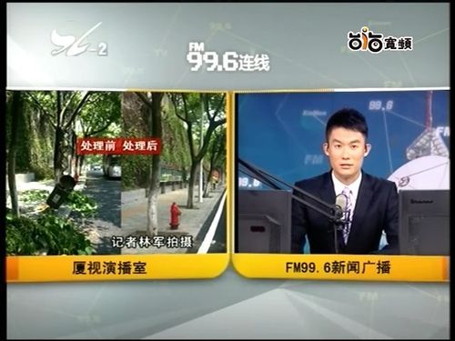 厦门卫视直播_厦门卫视直播直播_厦门卫视直播免费在线观看