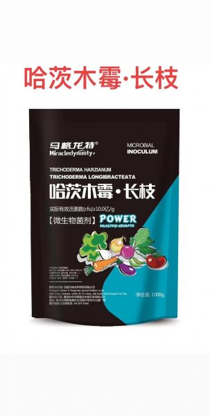 哈茨_哈茨直播_哈茨免费在线观看