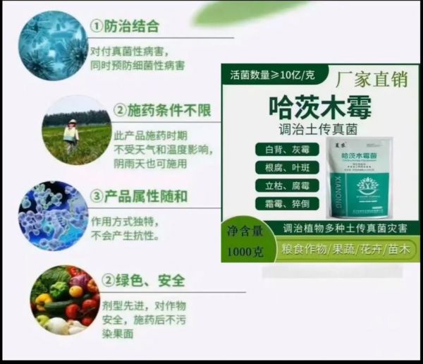 哈茨_哈茨直播_哈茨免费在线观看