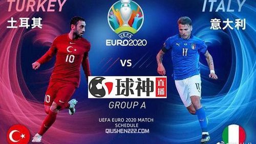 土耳其vs意大利_土耳其vs意大利直播_土耳其vs意大利录像回放