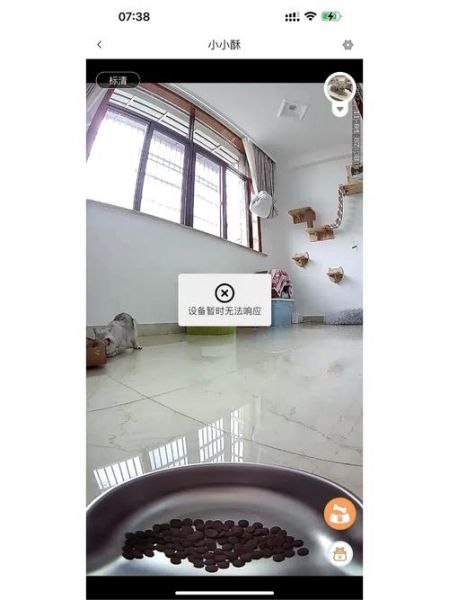多尼斯_多尼斯直播_多尼斯录像回放
