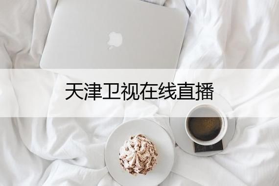 天津卫视手机在线直播_天津卫视手机在线直播直播_天津卫视手机在线直播免费在线观看