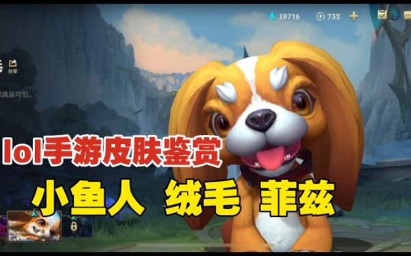 小鱼人新皮肤_小鱼人新皮肤直播_小鱼人新皮肤免费在线观看