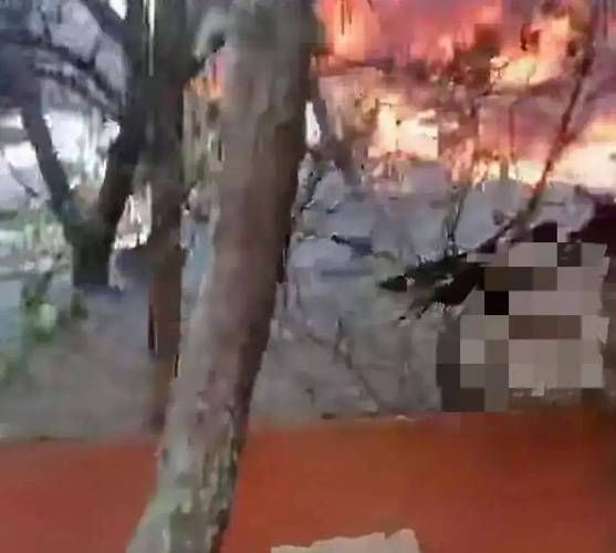 巴西球员放风筝触电身亡_巴西球员放风筝触电身亡直播_巴西球员放风筝触电身亡录像回放