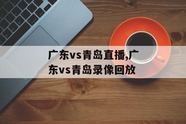 广东对山东_广东对山东直播_广东对山东录像回放