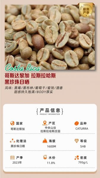德国哥斯达黎加_德国哥斯达黎加直播_德国哥斯达黎加录像回放