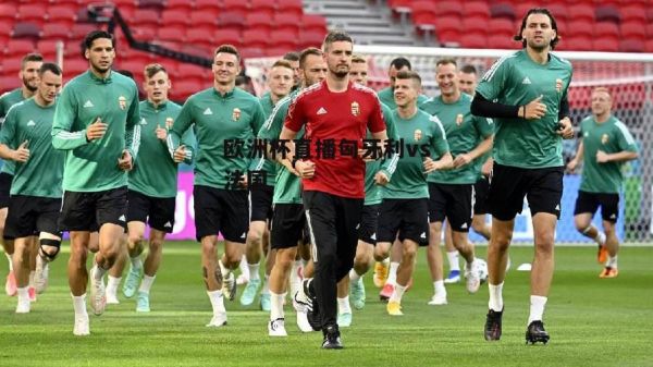 欧洲杯匈牙利VS法国_欧洲杯匈牙利VS法国直播_欧洲杯匈牙利VS法国免费在线观看