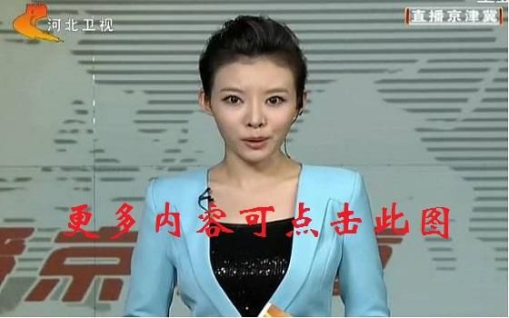 河北卫视在线直播_河北卫视在线直播直播_河北卫视在线直播录像回放