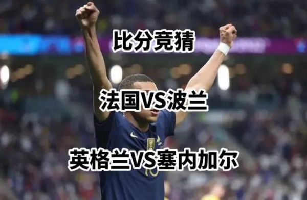 法国VS波兰_法国VS波兰直播_法国VS波兰免费在线观看录像回放