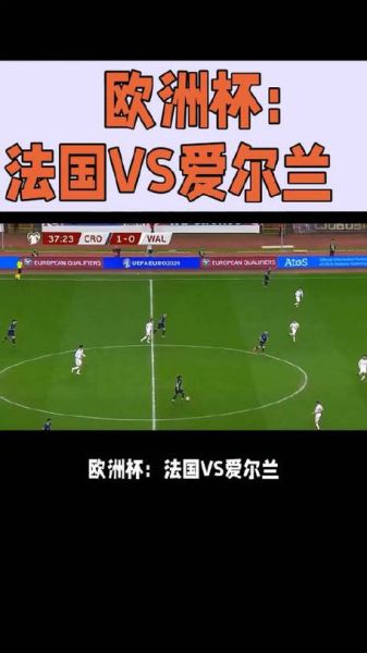 法国vs爱尔兰_法国vs爱尔兰直播_法国vs爱尔兰录像回放