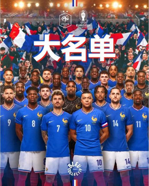 法国队欧洲杯大名单_法国队欧洲杯大名单直播_法国队欧洲杯大名单录像回放
