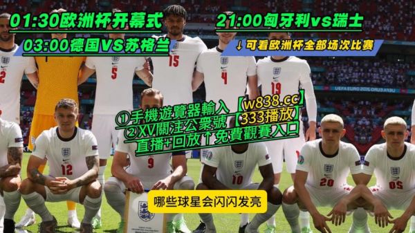 瑞士VS德国_瑞士VS德国直播_瑞士VS德国录像回放