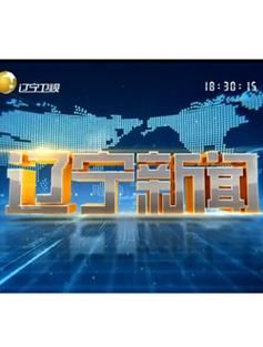 直播辽宁卫视_直播辽宁卫视直播_直播辽宁卫视免费在线观看