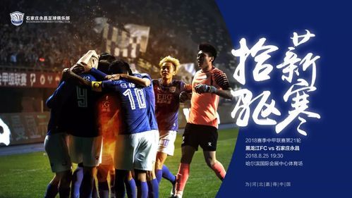 石家庄fc_石家庄fc直播_石家庄fc录像回放