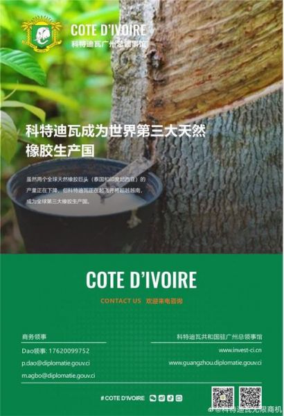 科特迪瓦对日本_科特迪瓦对日本直播_科特迪瓦对日本录像回放