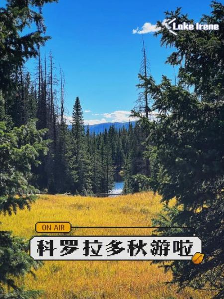 科罗拉多_科罗拉多直播_科罗拉多录像回放