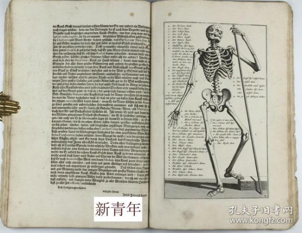维萨_维萨直播_维萨录像回放