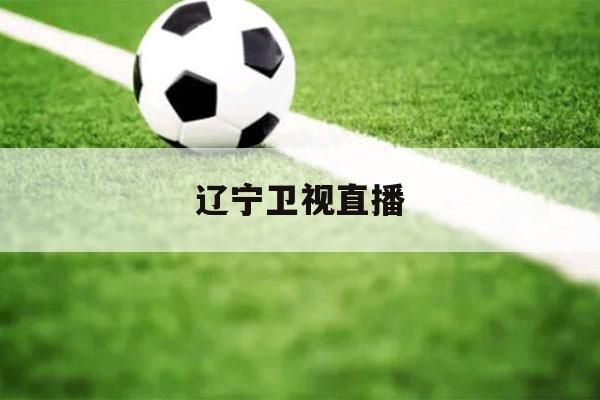 辽宁卫视直播在线直播观看_辽宁卫视直播在线直播观看直播_辽宁卫视直播在线直播观看免费在线观看