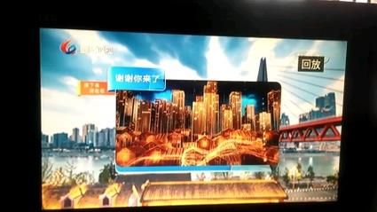 重庆卫视_重庆卫视直播_重庆卫视免费在线观看