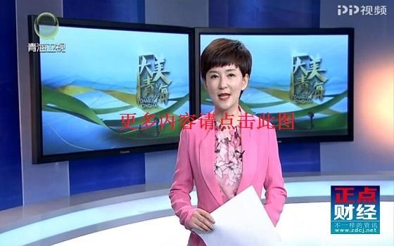青海电视台直播_青海电视台直播直播_青海电视台直播录像回放