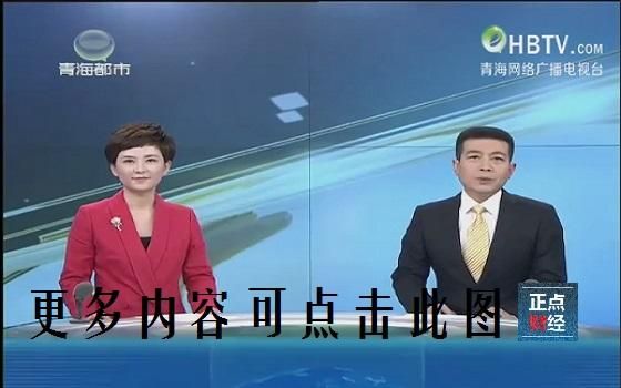 青海都市频道直播在线观看_青海都市频道直播在线观看直播_青海都市频道直播在线观看录像回放