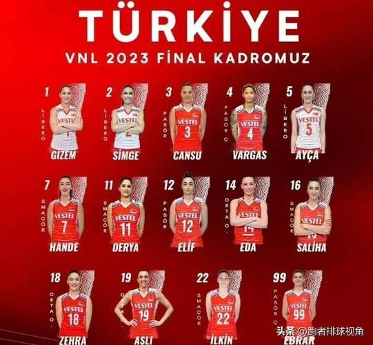 土耳其女子排球队名单介绍_土耳其女子排球队名单介绍直播_土耳其女子排球队名单介绍录像回放