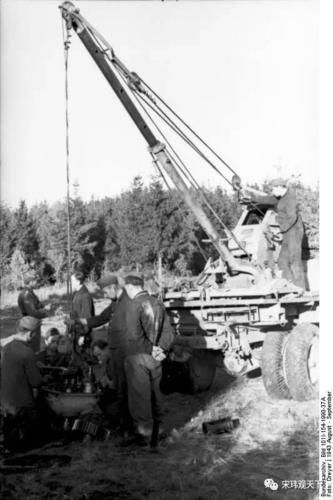 土耳其队排球秃子_土耳其队排球秃子直播_土耳其队排球秃子录像回放