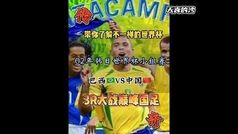 02年世界杯（02年世界杯中国对阵巴西）