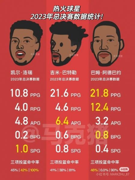 2006nba总决赛视频（2006nba总决赛技术统计）