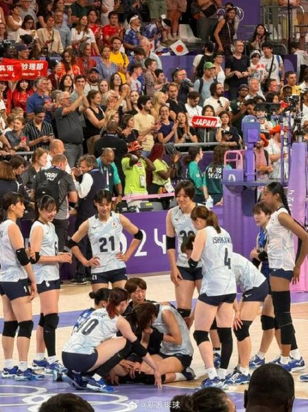 2015年女排世界杯（2015年女排世界杯中国对日本央视网）