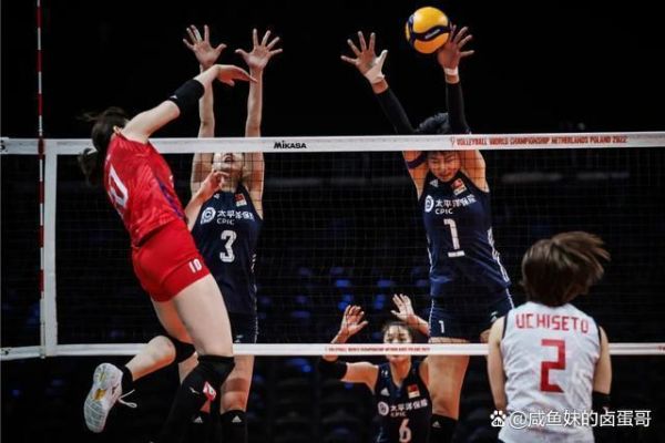 2019女排世界杯赛程（2019女排世界杯冠军赛直播）