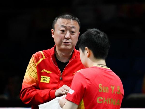 2019德国乒乓球公开赛（2019德国乒乓球公开赛混双）