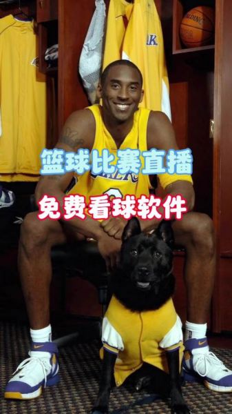 66看球直播（66看球直播nba直播免费下载）