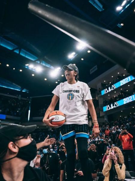 wnba什么意思（wobb是什么意思）
