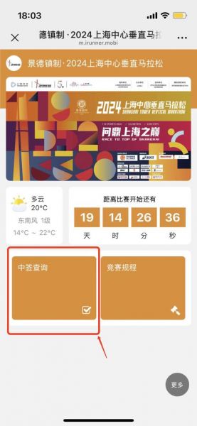 上海马拉松官网（上海马拉松官网查询）