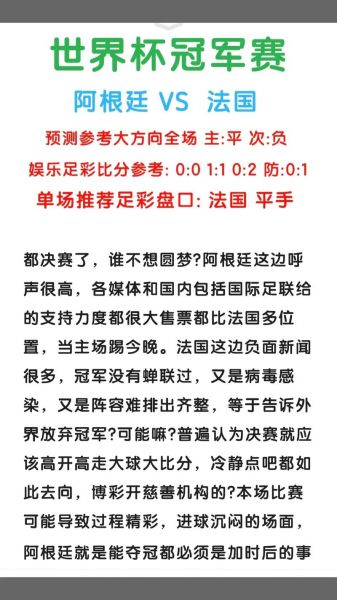 世界杯比分（法国对阿根廷世界杯比分）