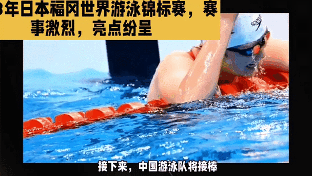 世界游泳锦标赛（今天也要做个佛系giel）