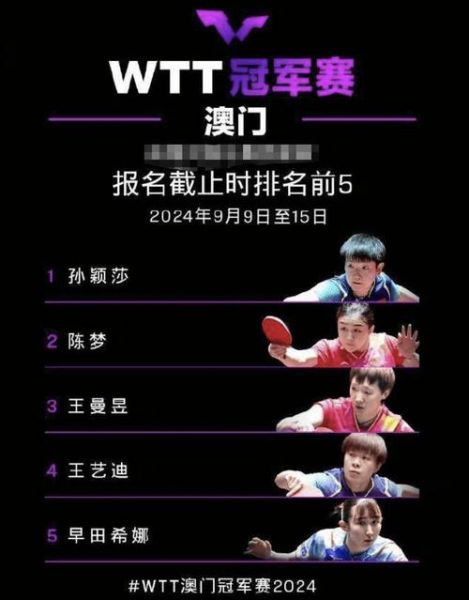 中国乒乓球网（中国乒乓球网站协会网站属于什么类型的页面布局）