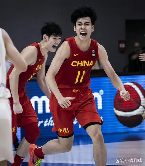 中国男篮vs法国录像（男篮中国对法国）