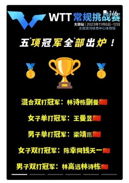 乒乓球双打冠军（乒乓球双打冠军积分怎么算）
